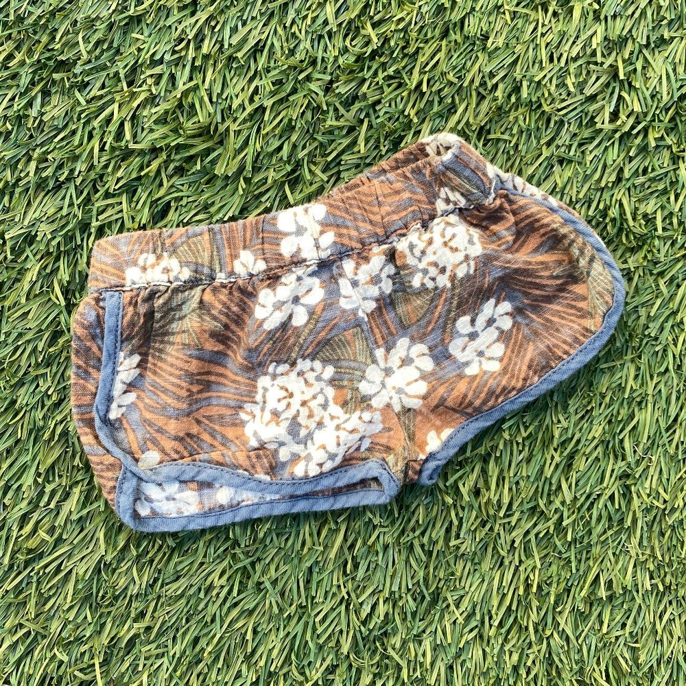 Itty Bitty Floral Shorts from Peek 3-6 MTHS